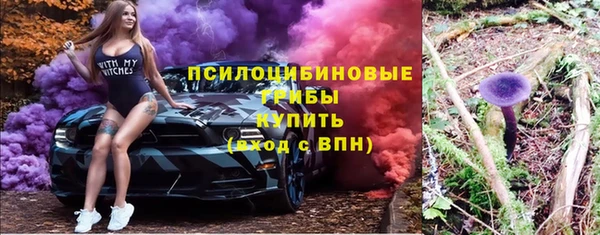 твердый Семёнов