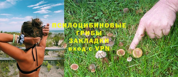 молекула духа Волосово