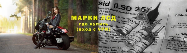 молекула духа Волосово
